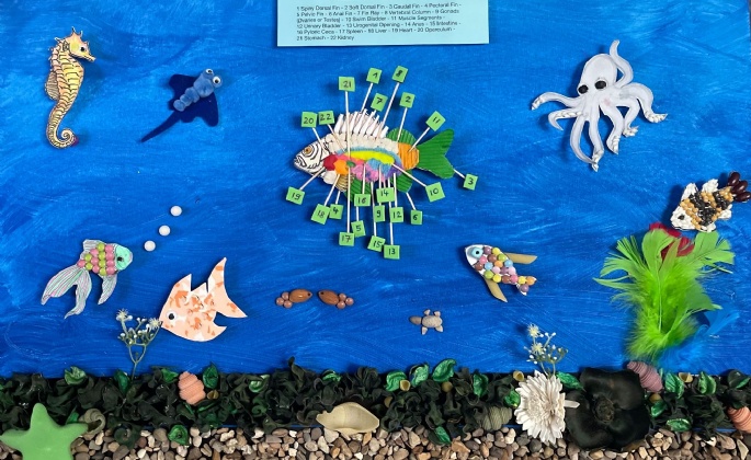 Latest News » Sabine S (Y9) Shortlisted for Bio Art Attack Competition